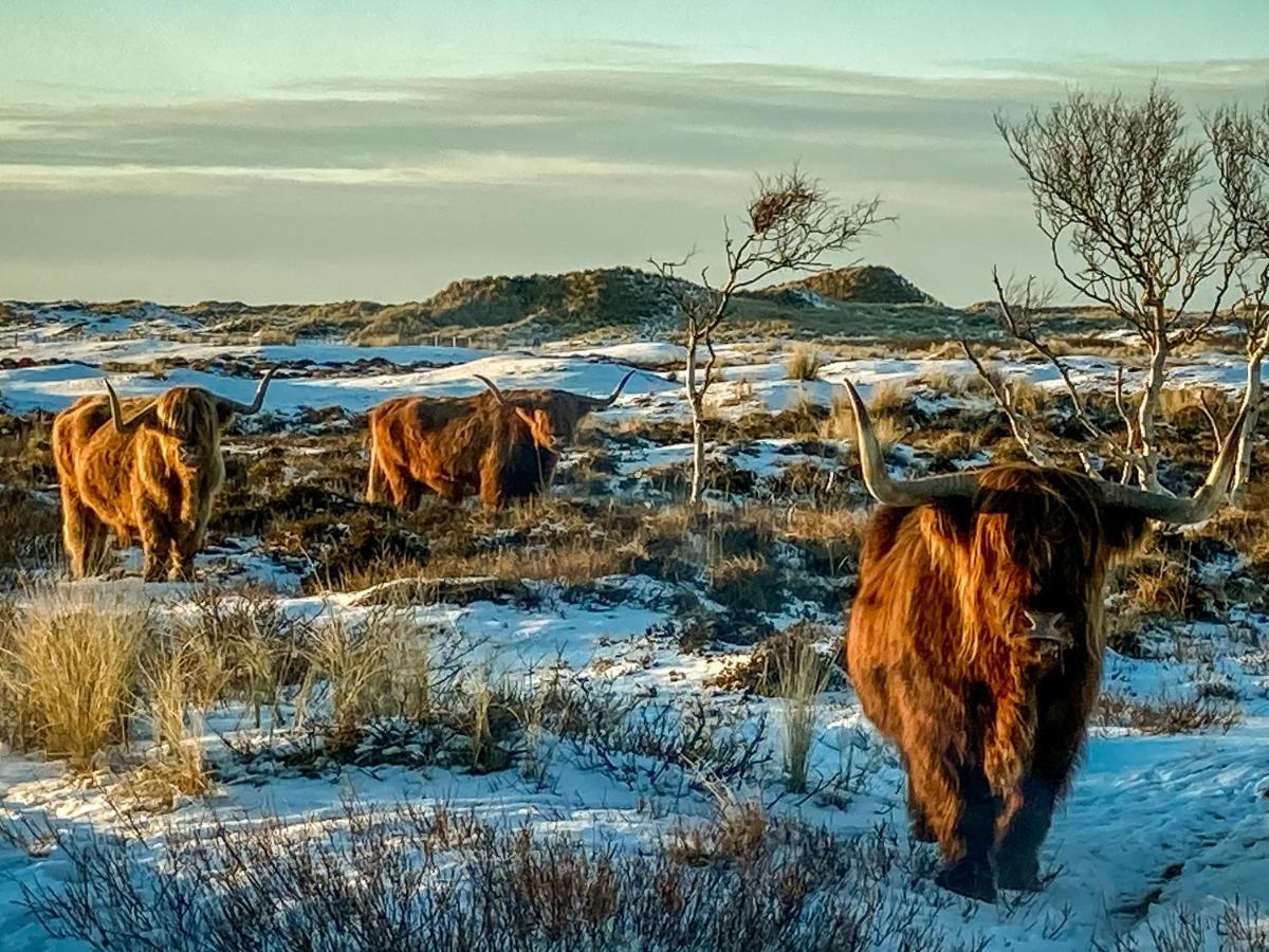 Loods Hotel Vlieland Bagian luar foto