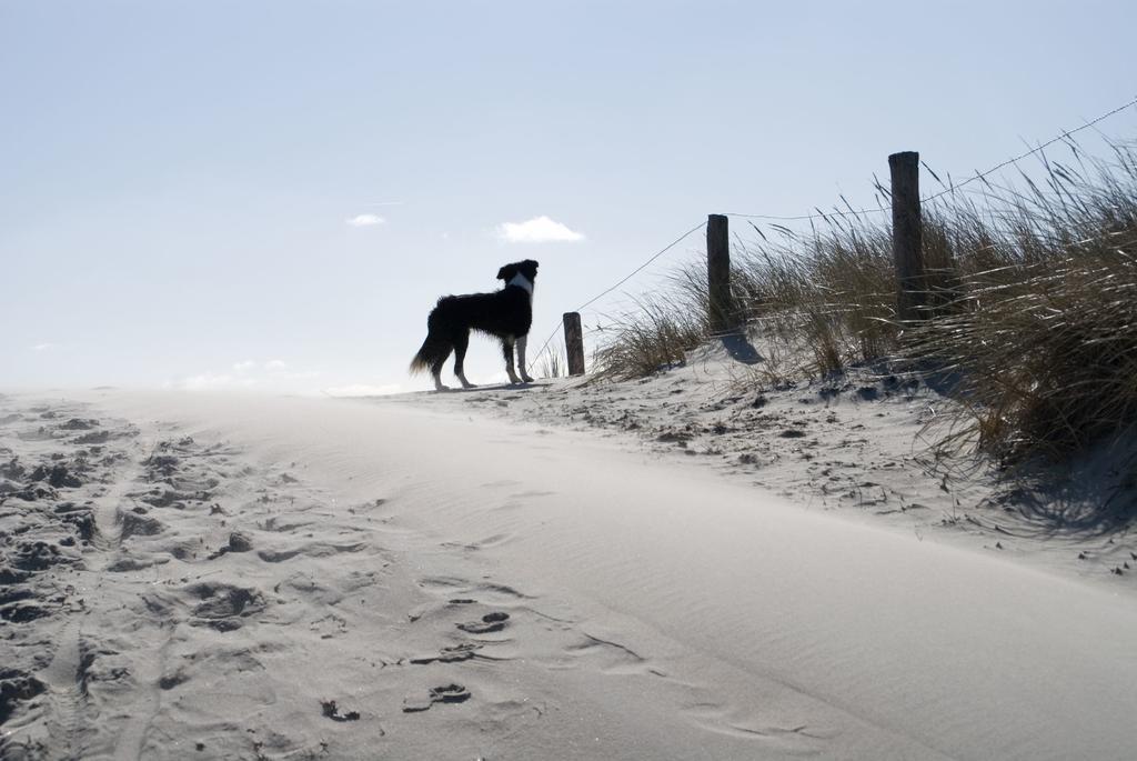 Loods Hotel Vlieland Bagian luar foto